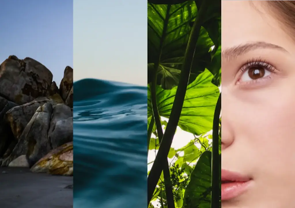 Triptych of rock, water, plant leaves and a woman's face
